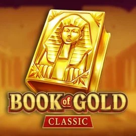 game logo by Playson on wolfscasino.it