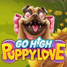 game logo by RubyPlay on wolfscasino.it